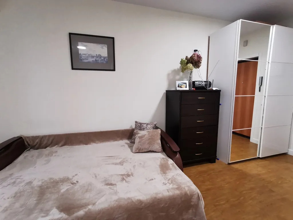 Студия однокомнатная на улице Академической, 24 м², Афонино — спальня, фото 3
