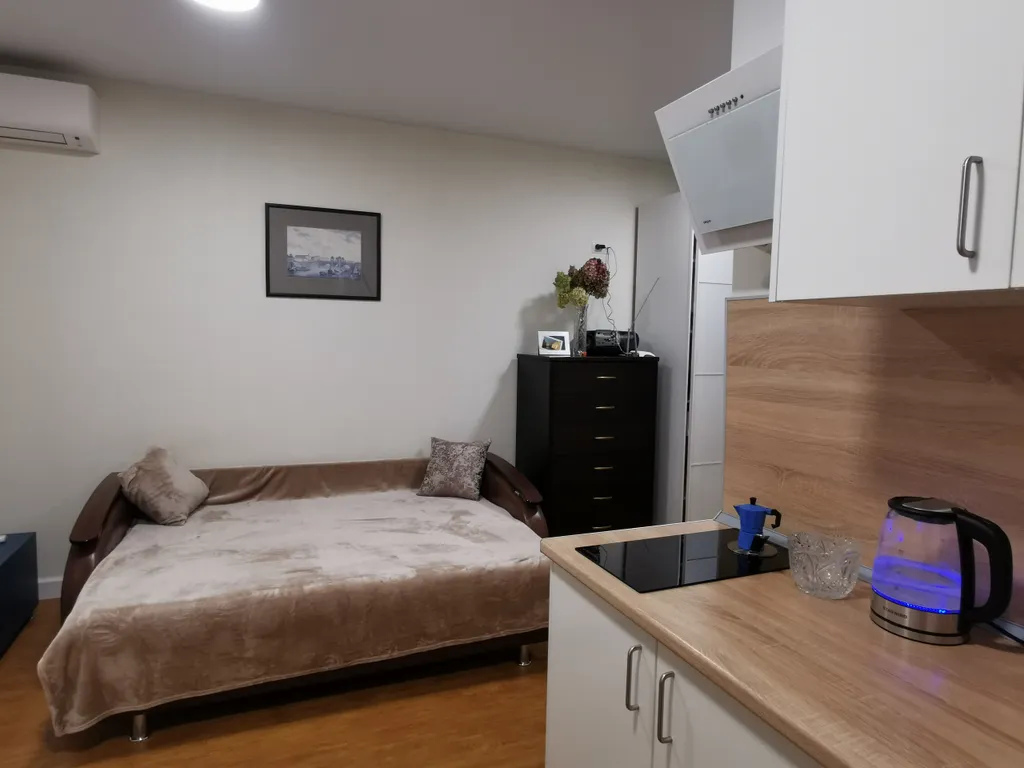 Студия однокомнатная на улице Академической, 24 м², Афонино — кухня, фото 3