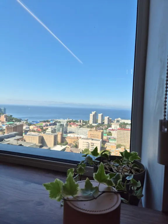 Студия однокомнатная в Ленинском, 25 м², Владивосток — вид из окна, фото 2