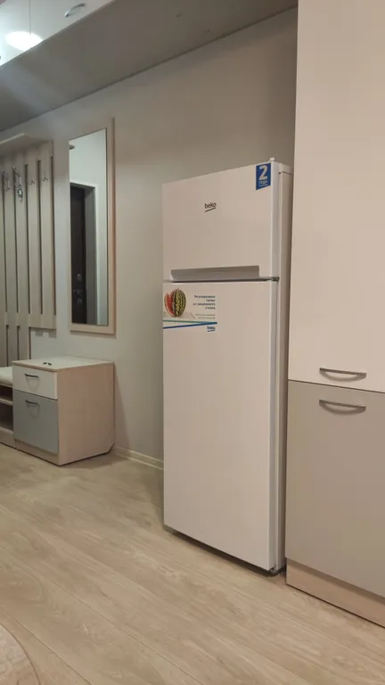 Студия однокомнатная на улице Майора Филипова, 21 м², Владивосток — кухня, фото 2