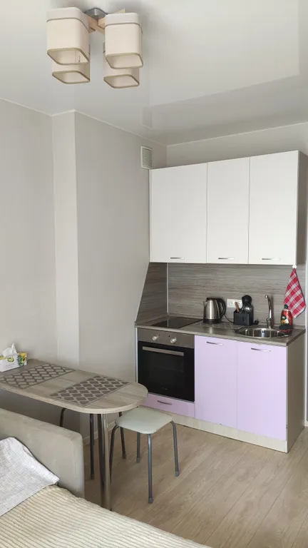 Студия однокомнатная на улице Майора Филипова, 21 м², Владивосток — кухня