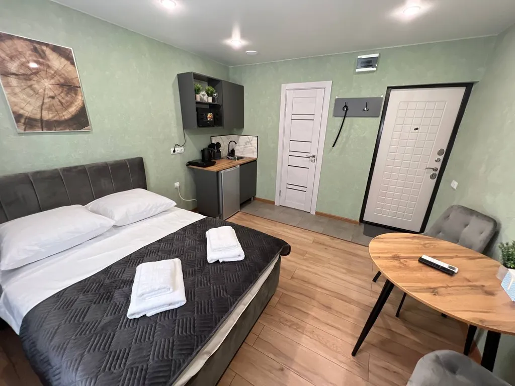 Студия однокомнатная в Автозаводском, 22 м², Тольятти — фото 3