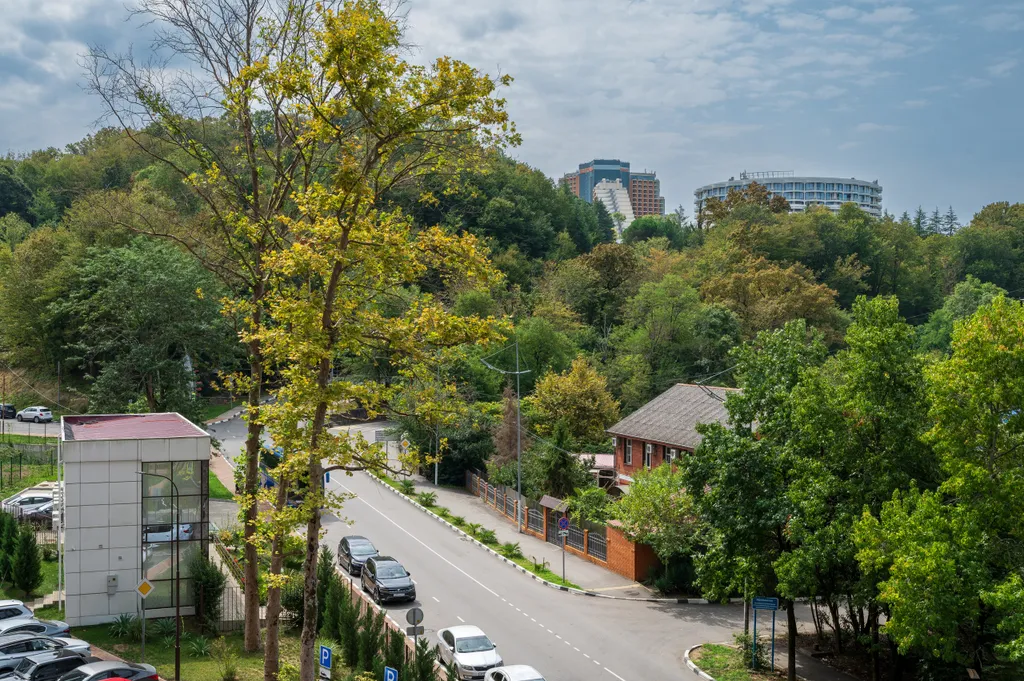 Студия однокомнатная на шоссе Батумском, 30 м², Дагомыс — вид из окна