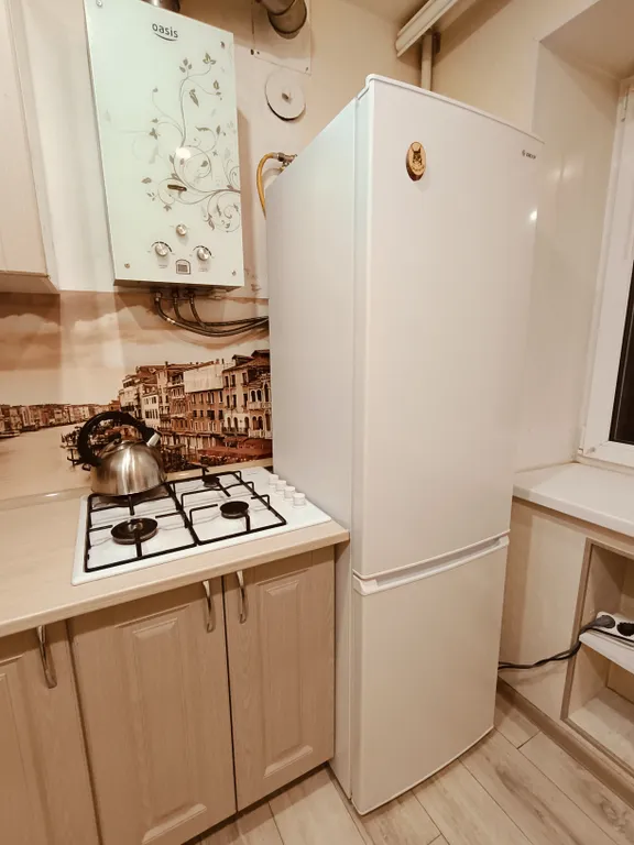 Квартира однокомнатная на проспекте Циолковского, 29 м², Дзержинск — кухня, фото 2