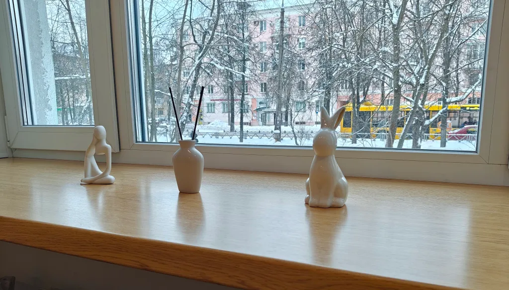 Квартира двухкомнатная на проспекте Ленина, 45 м², Ярославль — вид из окна