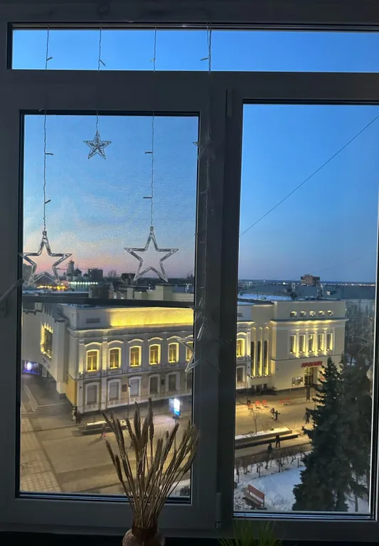 Квартира двухкомнатная у Горьковской, в Печёрах, 45 м², Нижний Новгород — вид из окна, фото 4