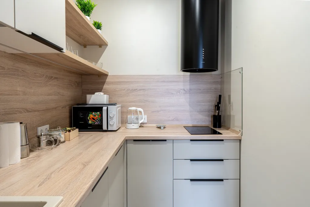 Апартаменты однокомнатные у метро Горьковская, 50 м², Нижний Новгород — кухня, фото 2