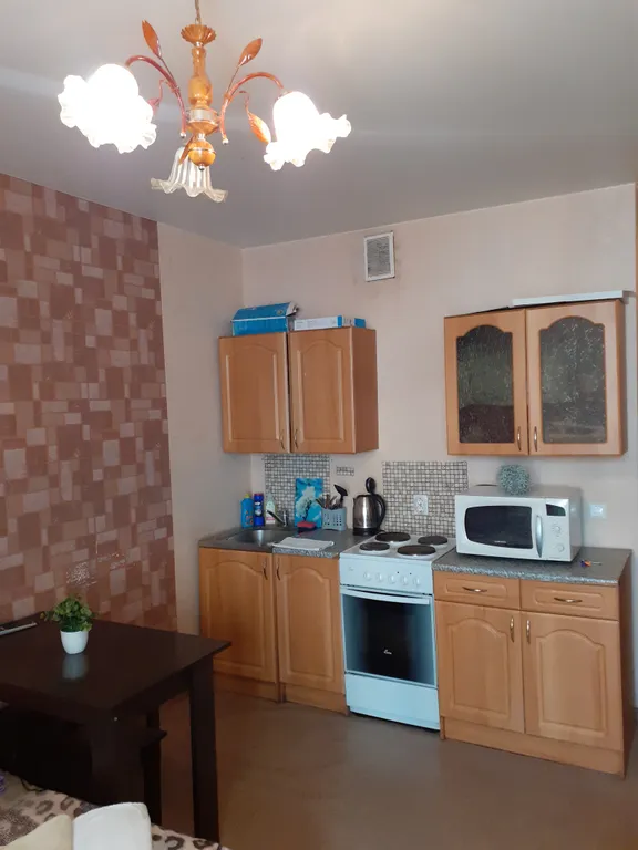 Студия однокомнатная в Автозаводском, 24 м², Нижний Новгород — кухня, фото 4
