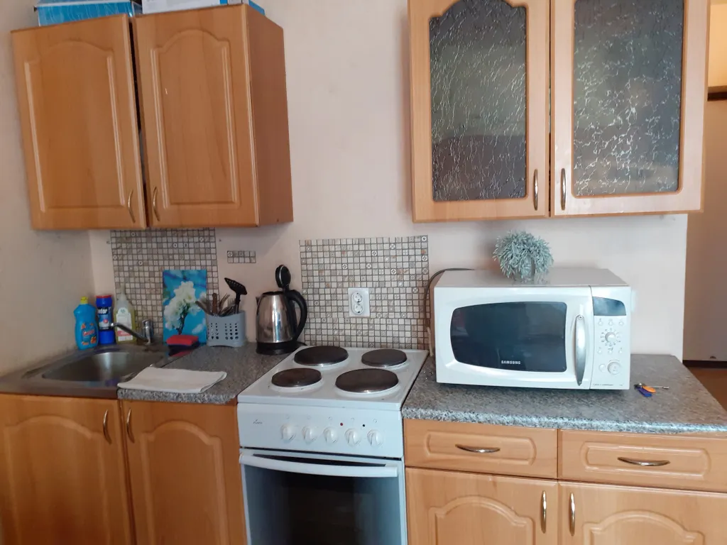 Студия однокомнатная в Автозаводском, 24 м², Нижний Новгород — кухня