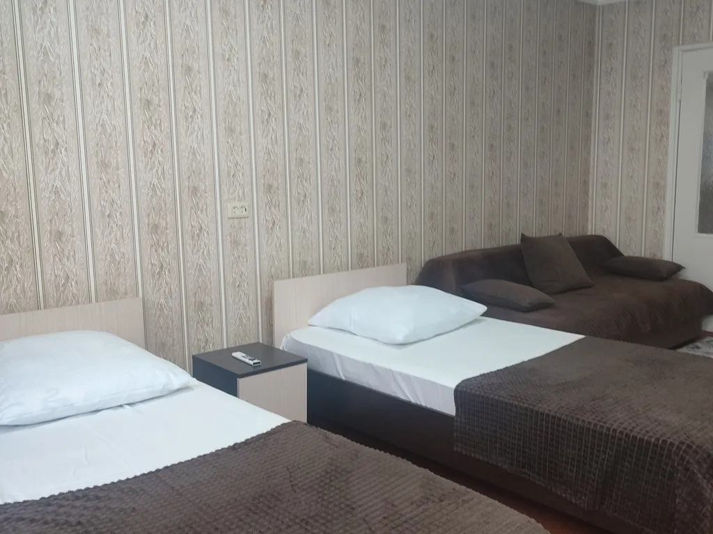 Квартира в центре города, недалеко от парка Притяжение.