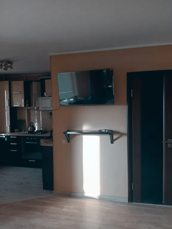 Квартира однокомнатная на проспекте Рижском, 36 м², Псков — кухня, фото 4