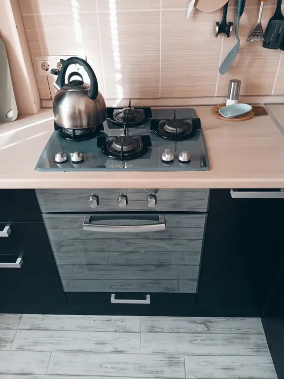 Квартира однокомнатная на проспекте Рижском, 36 м², Псков — кухня, фото 2