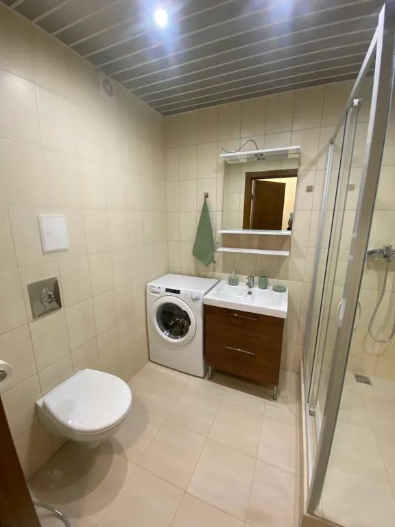 Квартира двухкомнатная на набережной Александра Невского, 42 м², Великий Новгород — ванная комната