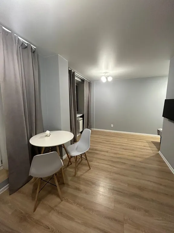 Студия однокомнатная на улице Спасской, 27 м², Ярославль — кухня