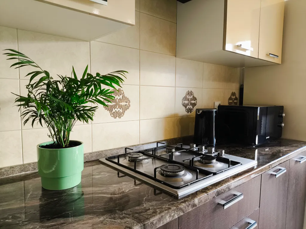 Квартира однокомнатная на улице Юбилейной, 34 м², Новосельцы — кухня, фото 2