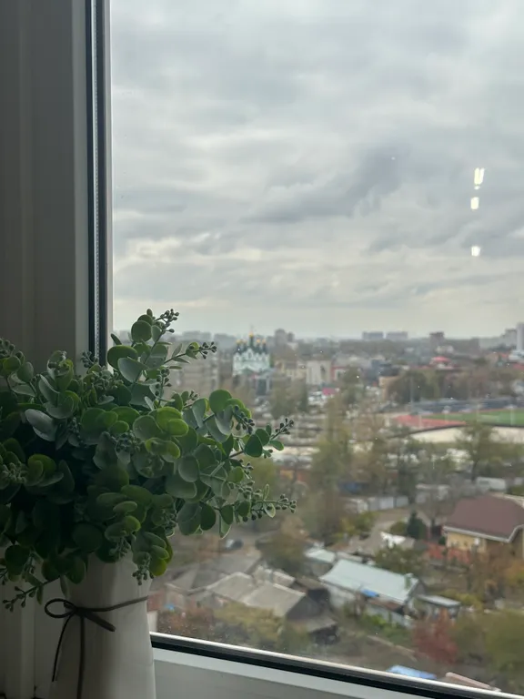 Квартира однокомнатная в переулке Дунаевского, 42 м², Ростов-на-Дону — вид из окна, фото 5