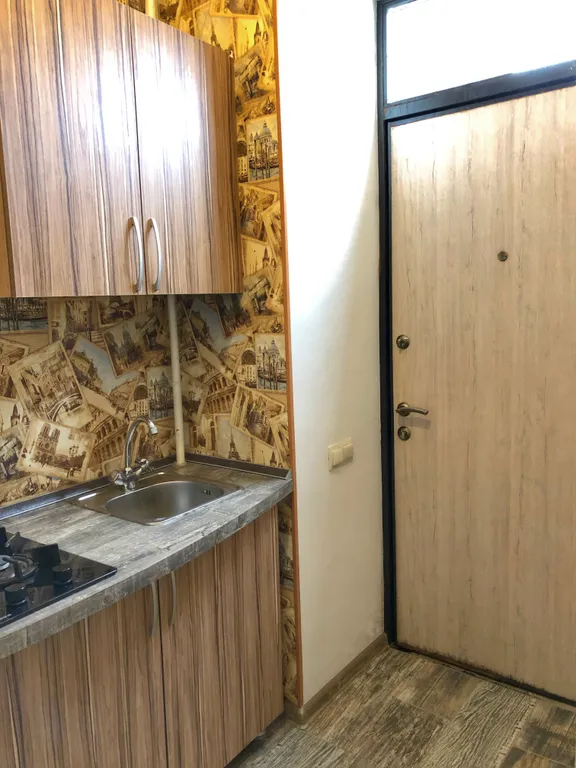 Квартира однокомнатная на проспекте Кирова, 34 м², Пятигорск — кухня, фото 3