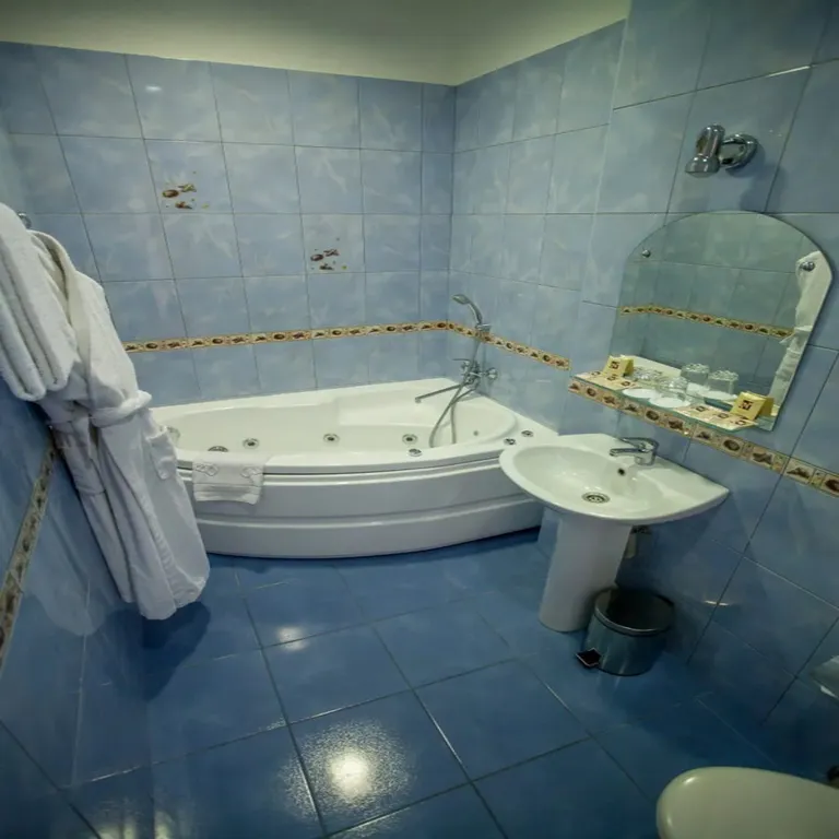 Двухместный номер с 1 кроватью апраксин Сьют