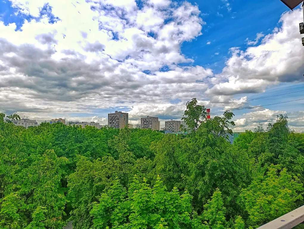 Квартира однокомнатная у Южной, в Чертаново Северное, 34 м², Москва — вид из окна