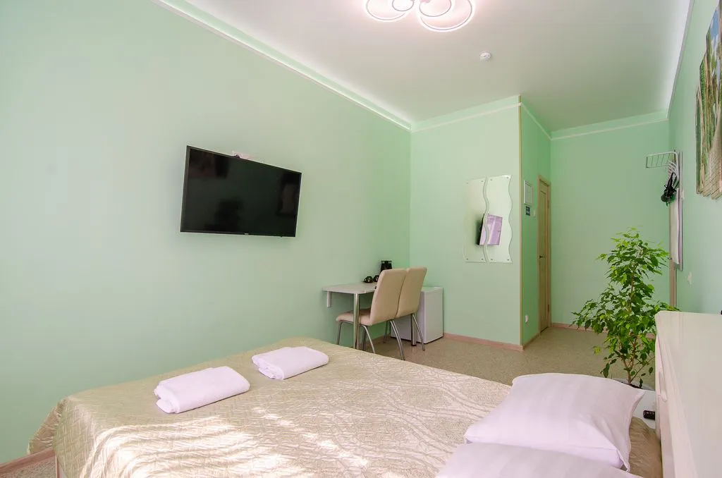 Двухместный номер с 1 кроватью и собственным санузлом — общий вид