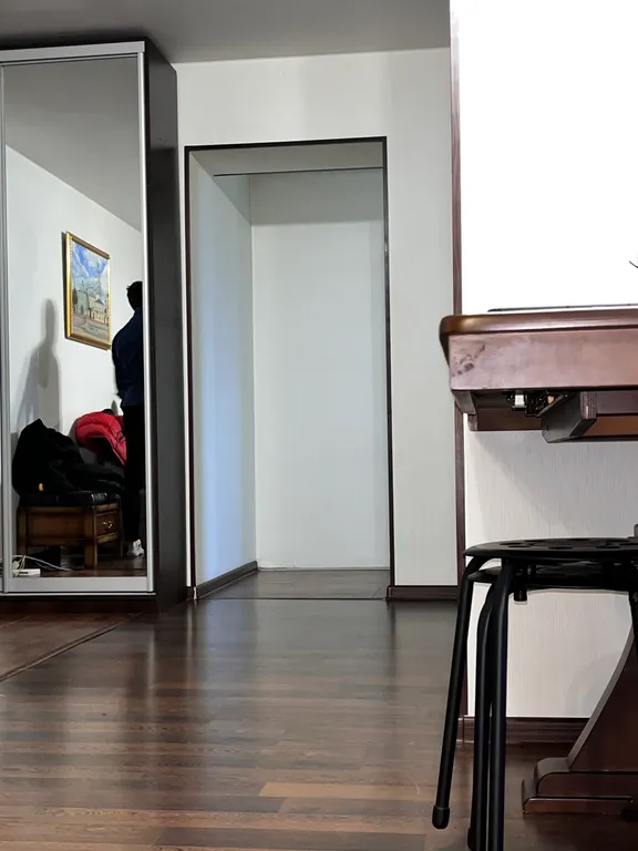 Квартира двухкомнатная у Площади Габдуллы Тукая, в Вахитовском, 60 м², Казань — фото 13