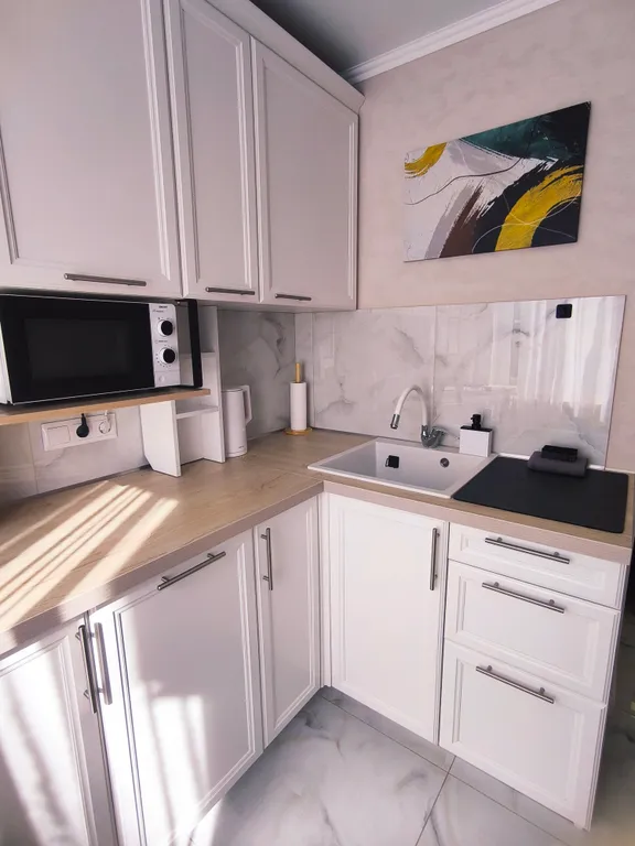 Квартира однокомнатная в Нижегородском, 32 м², Нижний Новгород — кухня, фото 4