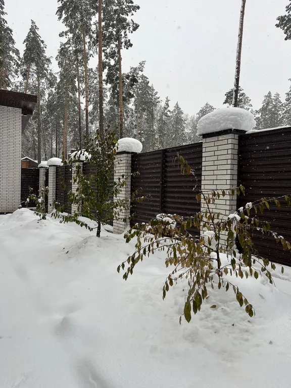 Коттедж 4-местный на шоссе Дачном, 31 м², Новосибирск — двор, фото 6