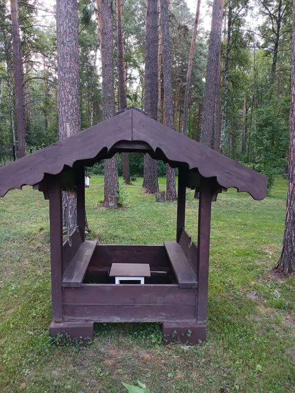 Коттедж 4-местный на шоссе Дачном, 31 м², Новосибирск — двор, фото 12