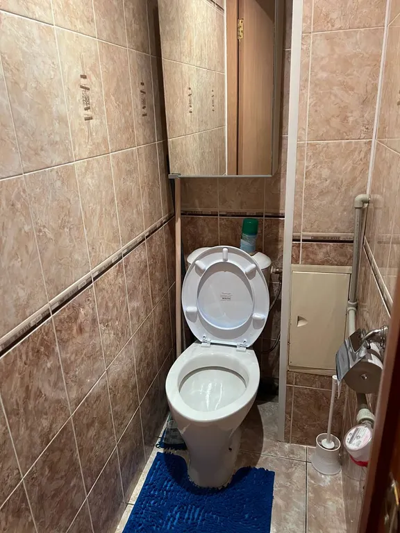 Квартира однокомнатная на проспекте Победы, 32 м², Кстово — ванная комната, фото 2