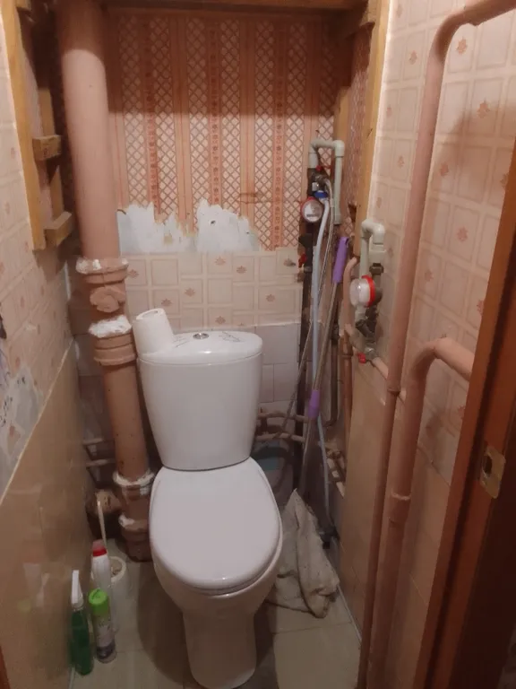 Квартира трёхкомнатная на улице Курчатова, 60 м², Саров — ванная комната