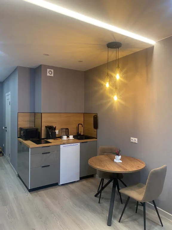 Апартаменты однокомнатные в Советском, 28 м², Красноярск — кухня