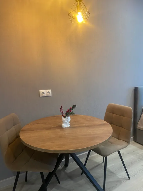 Апартаменты однокомнатные в Советском, 28 м², Красноярск — кухня, фото 2