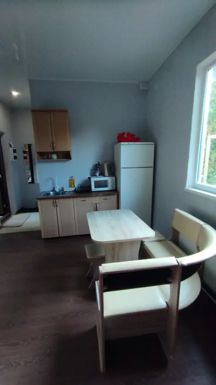 Студия однокомнатная на улице Греческой, 30 м², Таганрог — кухня, фото 5