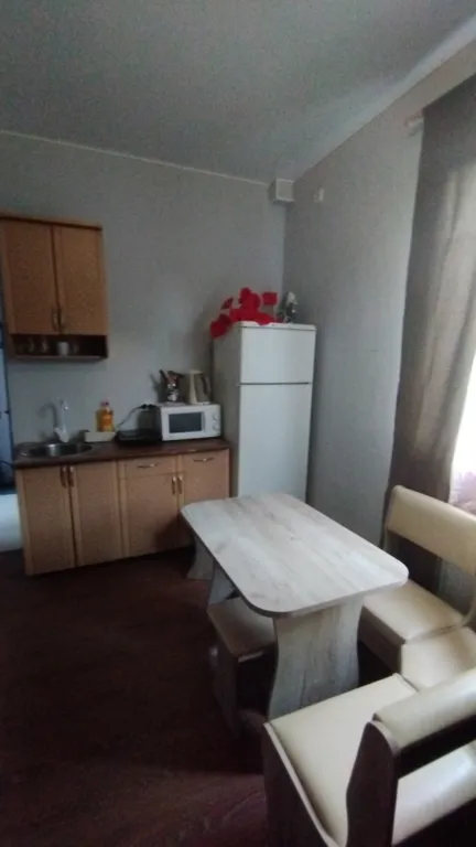 Студия однокомнатная на улице Греческой, 30 м², Таганрог — кухня