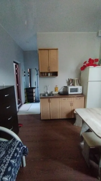 Студия однокомнатная на улице Греческой, 30 м², Таганрог — кухня, фото 2