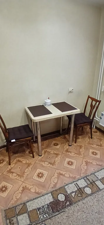 Квартира однокомнатная у Московской, в Канавино, 33 м², Нижний Новгород — кухня, фото 6