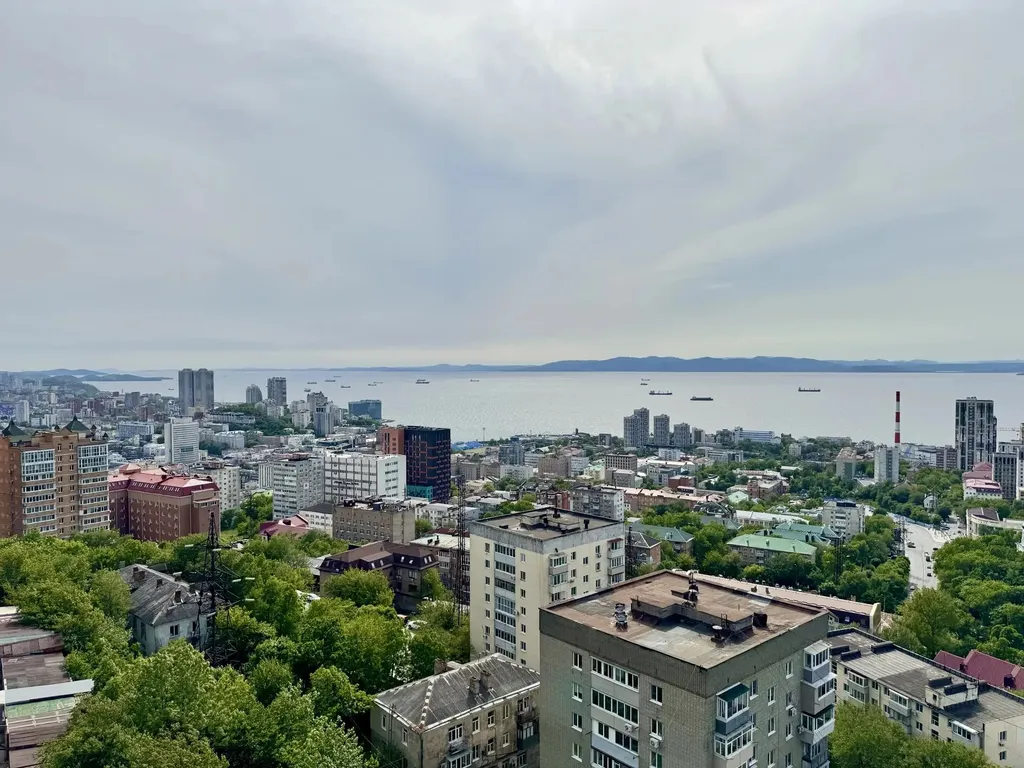 Квартира двухкомнатная в Ленинском, 50 м², Владивосток — вид из окна, фото 2