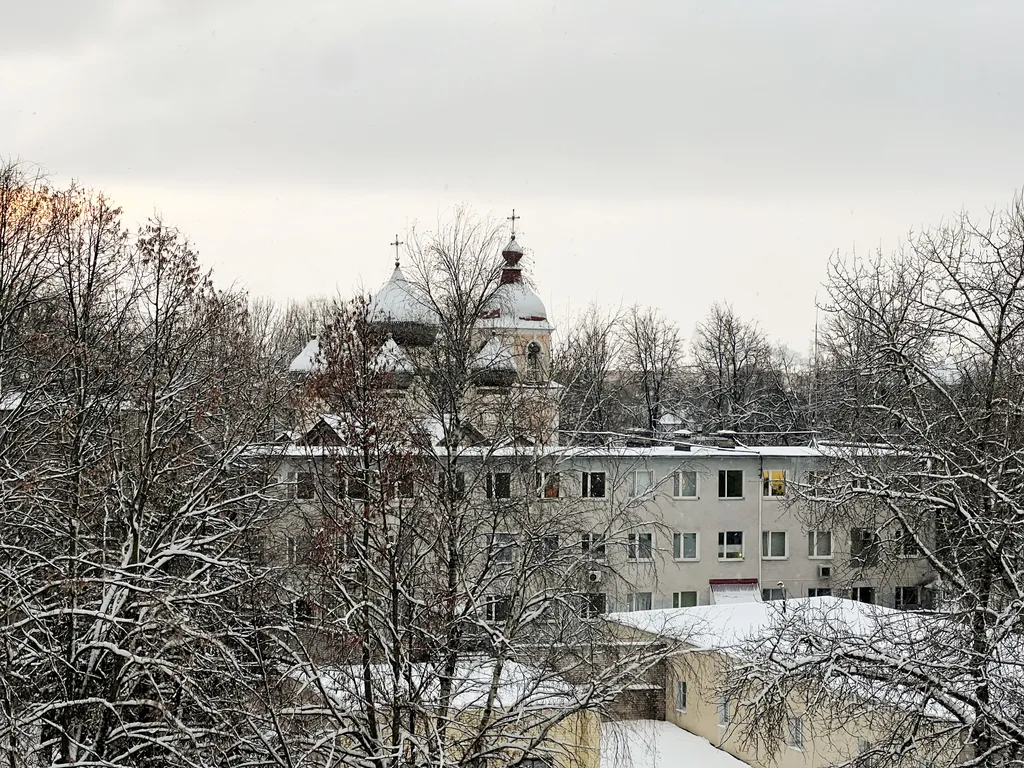 Студия однокомнатная на улице Большой Санкт-Петербургской, 24 м², Великий Новгород — вид из окна