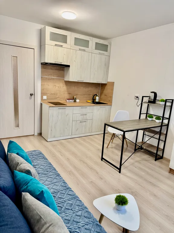 Студия однокомнатная в Академическом, 22 м², Екатеринбург — кухня