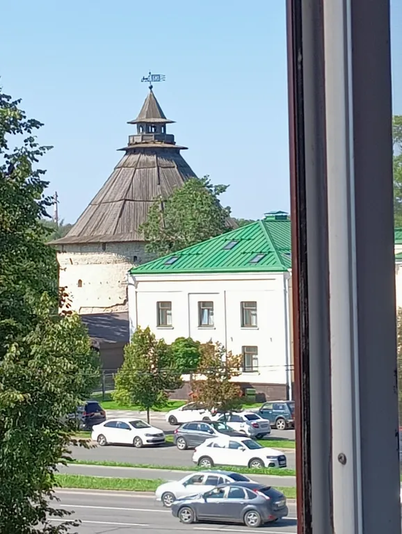 Квартира двухкомнатная на улице Гражданской, 50 м², Псков — вид из окна