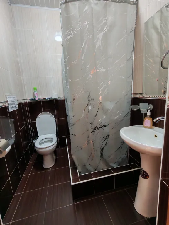 Фото отеля «Делис», 5