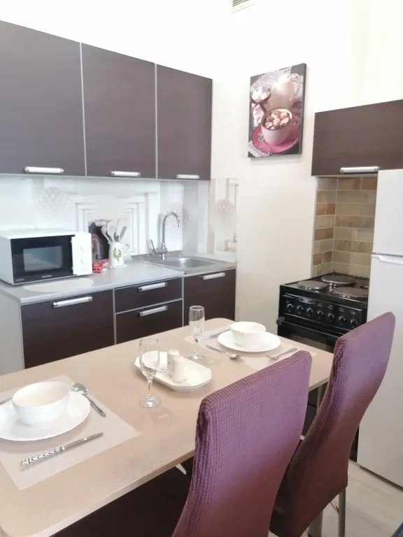 Студия однокомнатная в Куйбышевском, 26 м², Иркутск — кухня