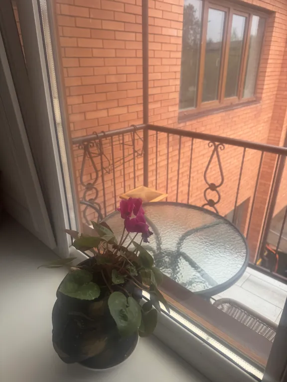Квартира однокомнатная на улице Куйбышева, 54 м², Кисловодск — вид из окна, фото 2