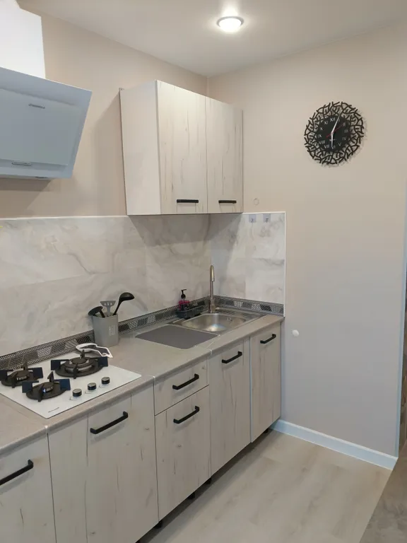 Квартира двухкомнатная у Московской, в Канавино, 48 м², Нижний Новгород — кухня, фото 3