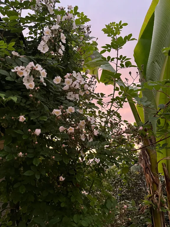 Фото отеля «CasaMia», 2