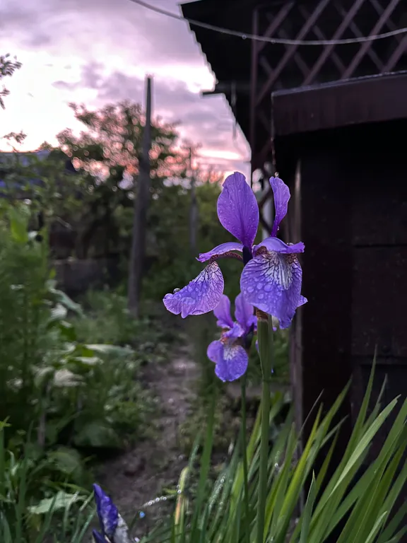 Фото отеля «CasaMia», 3