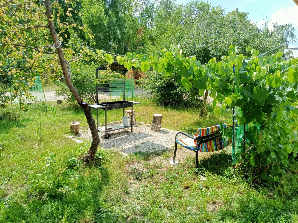 Таунхаус 5-местный в село Зольном, 44 м², Жигулёвск — двор, фото 4