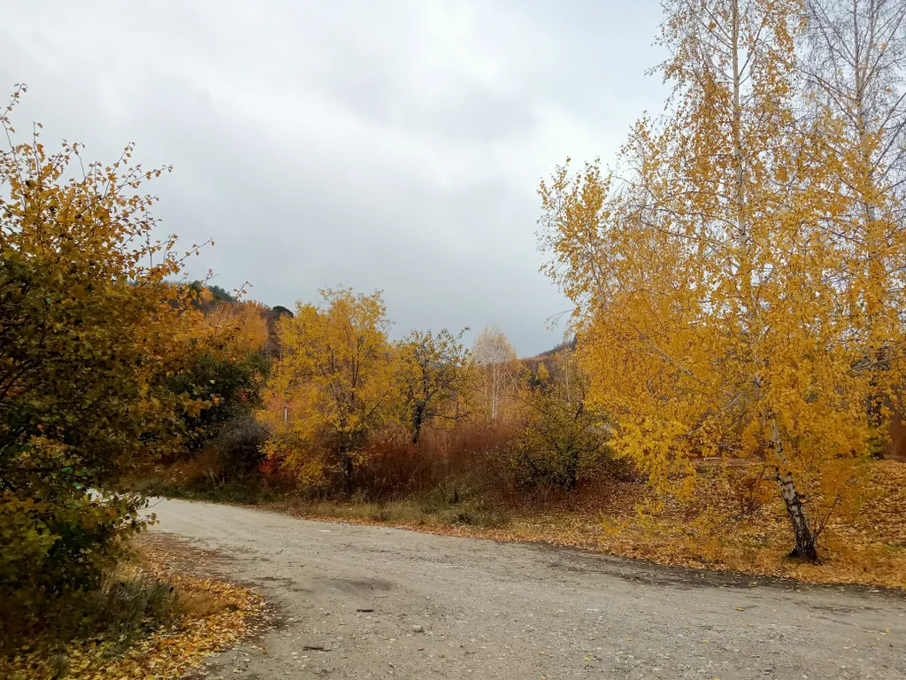 Таунхаус 5-местный в село Зольном, 44 м², Жигулёвск — фото 19