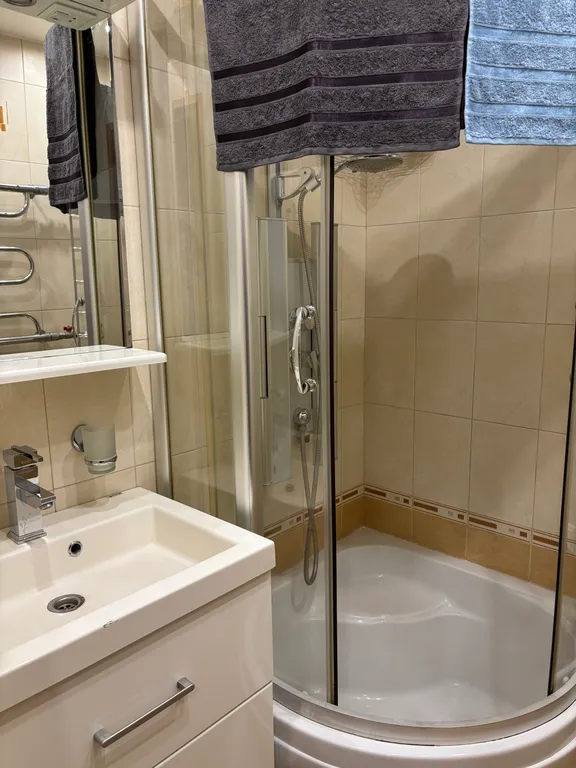 Квартира двухкомнатная в Пушкинском, 60 м², Шушары — ванная комната