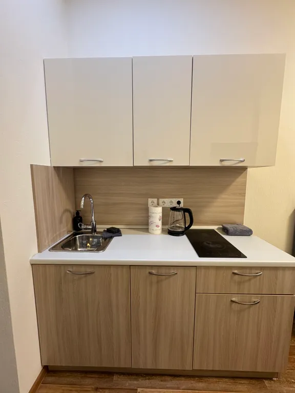 Апартаменты однокомнатные в Советском, 24 м², Красноярск — кухня